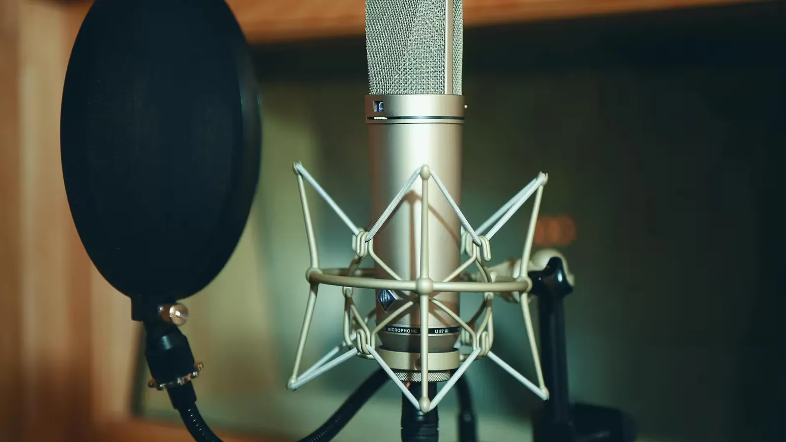 Close-up of a studio microphone with pop filter, perfect for recording.
